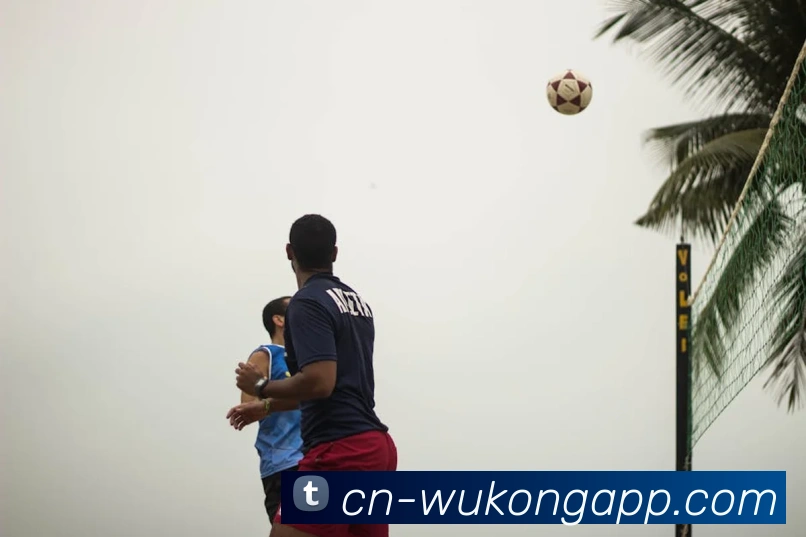 悟空体育app平台生态图